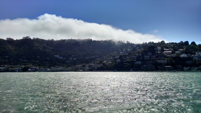 beautiful Sausalito from the ferry!